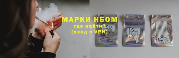 прущий лед Костерёво