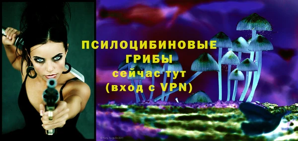 прущий лед Костерёво