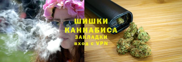 прущий лед Костерёво