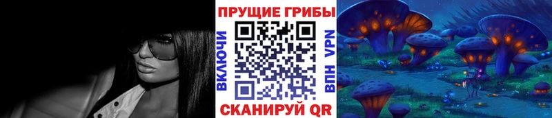 Купить где Заозёрный Галлюциногенные грибы MAGIC MUSHROOMS